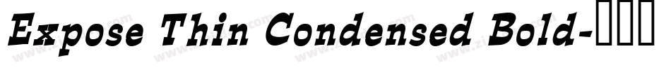Expose Thin Condensed Bold字体转换